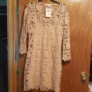 NWT Boston Proper crochet shift dress in barely pink